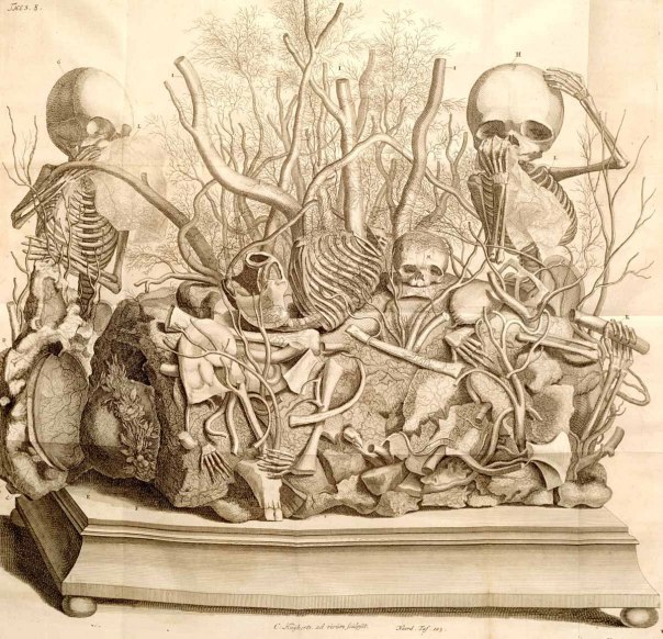 Frederik Ruysch - Alle de Ontleed, Genees, en Heelkundige Werken (Amsterdam, 1744)