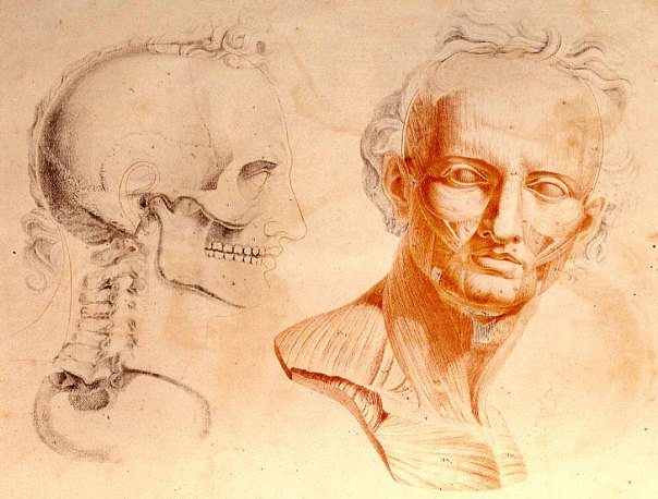 Jacques Gamelin - Nouveau recueil d’ostéologie et de myologie (1779)