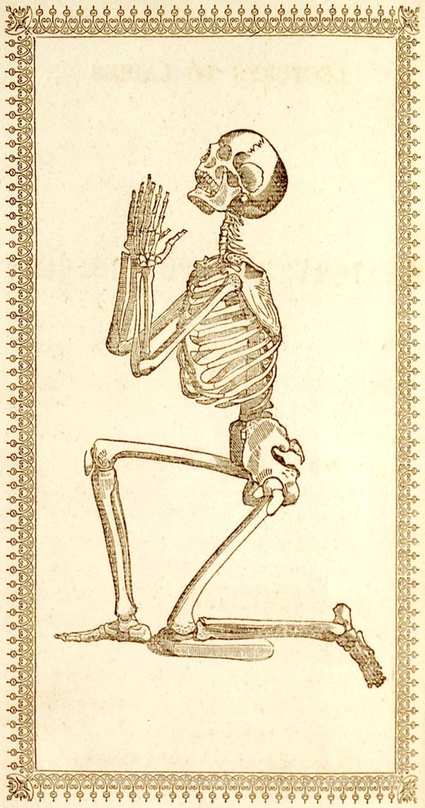 Mary S. Gove (after Wm. Cheselden) - From 'Lectures to ladies on anatomy and physiology' (1842)